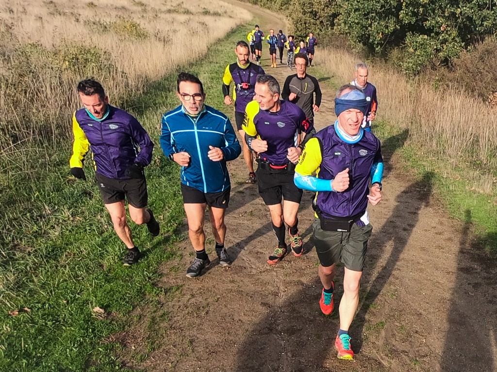DCIM101GOPROGOPR4597.JPG